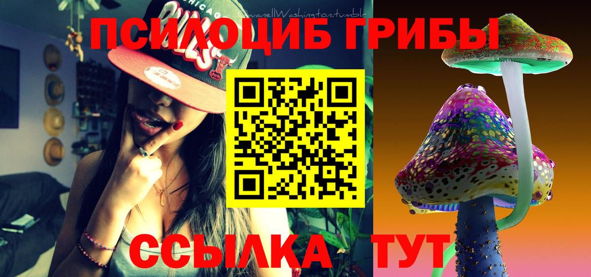 Галлюциногенные грибы Cubensis Кореновск